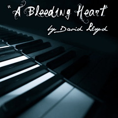 Music Artist David Lloyd