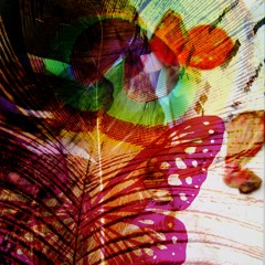 petalsandpatterns