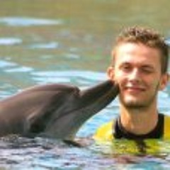 Daan Den Toom