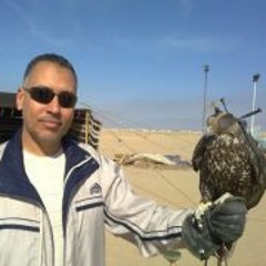 Mohamed Abdel Majeed