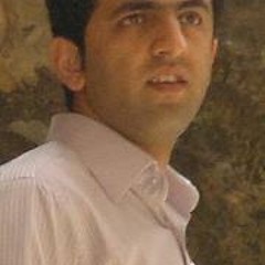 Seyyed Mohammad Bahreini