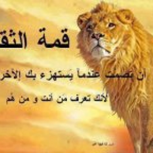 Tigre Tunisien’s avatar