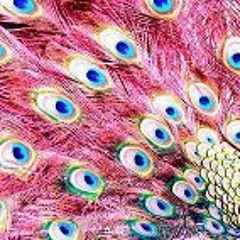 Estefania Merchante Muñoz