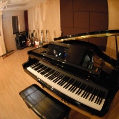 shadypalmsproductions