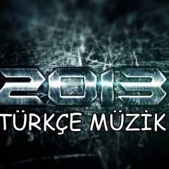 2013music