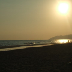 Joseph Louis Johnston