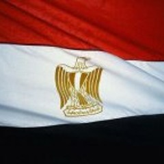 Haytham Eisa