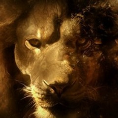 Sincere Dacornastone