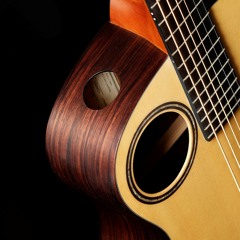 WaldenGuitars