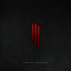 Unofficial Skrillex 2013
