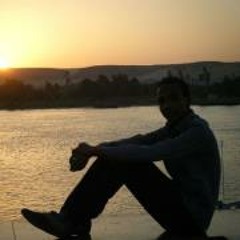 Mostafa Amer 2