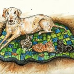 Stephanie Marshall 3