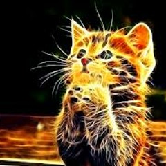 Wikiwalet (New Recording)