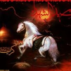 Ali Haider 19