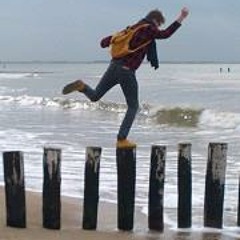 Klaas-Henk Binnendijk