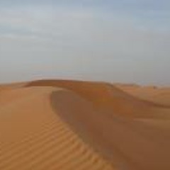 Thierry Bettas-Begalin