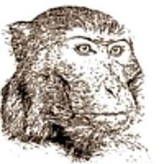 Monkeyscratch
