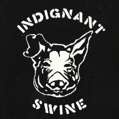 Indignant Swine