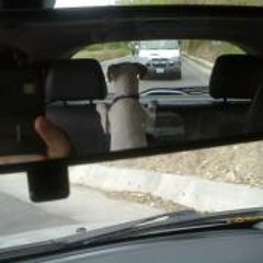 Nora Isabel Rodriguez