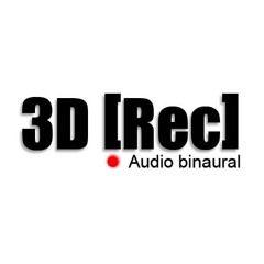 3drecaudio