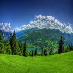 عز الحبايب