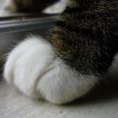 Paula Sabrina Villalobos