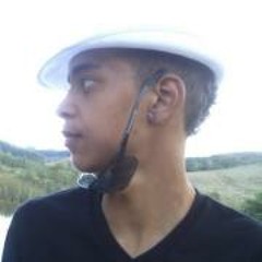 Djjonas-havaianos sarrando