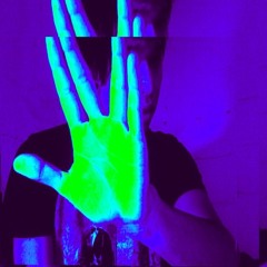 DAYTRIPPPER