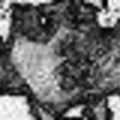 Billy Joel Morrow - Music