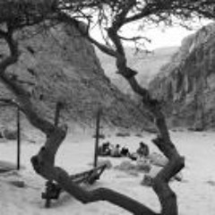 Mahmoud Abd El-kader   م. ع