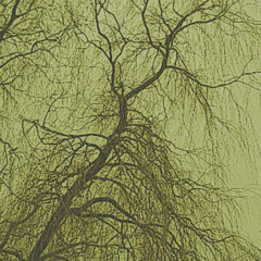 Kirkstall Dark Matter