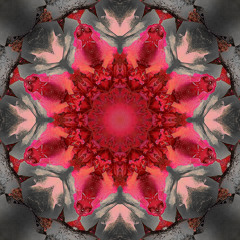 4Fx