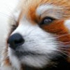 Nexxicon
