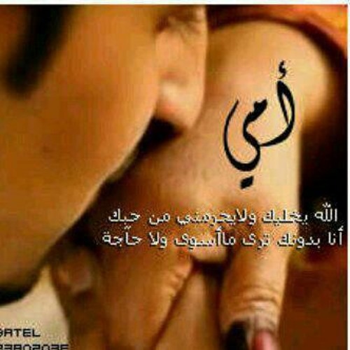 بوريك طبك _ فرقة الصحوه