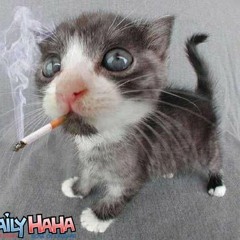 JazzCigarettes