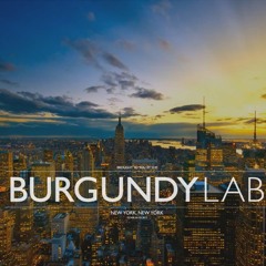 TheBurgundyLab Studio