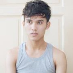 Firdaus Farzira Amir