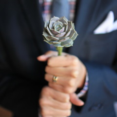 technicolordreamscapes