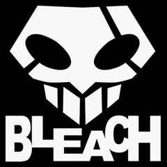 Bleach Recordings