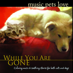 Music Pets Love