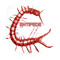 Centipede