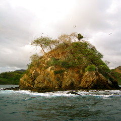 The Real Brandon Lucas