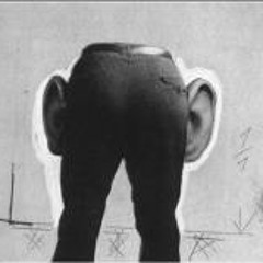 César Augusto Villafaina