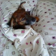 Wendy Inky Pinky Carless