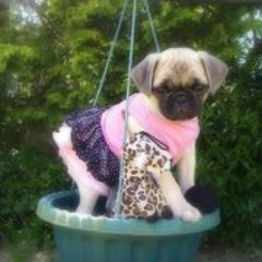 Teri Cranford Herren