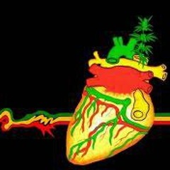 Cristian Javier Dance