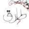 Tarek Mostafa Weheba