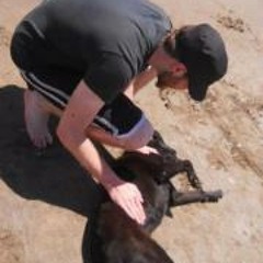 Huairas Nahuel Podhorcer