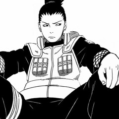 Shika8