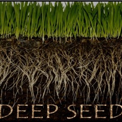 Deep Seed